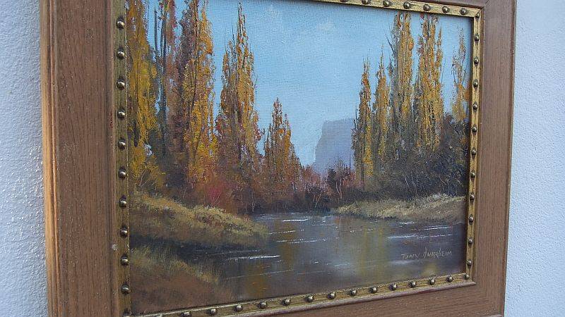 AN EXTRAORDINARY ORIGINAL OIL ON CANVAS BY SA ARTIST TONY DURRHEIM ... SIGNED !! GREAT CONDITION !!