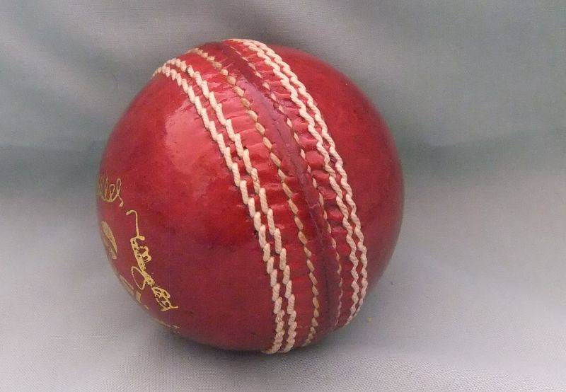 A COOL STANDARD SIZE CRICKET BALL WITH PEPSI ADVERTISING AND SIGNATURES - EXCELLENT CONDITION