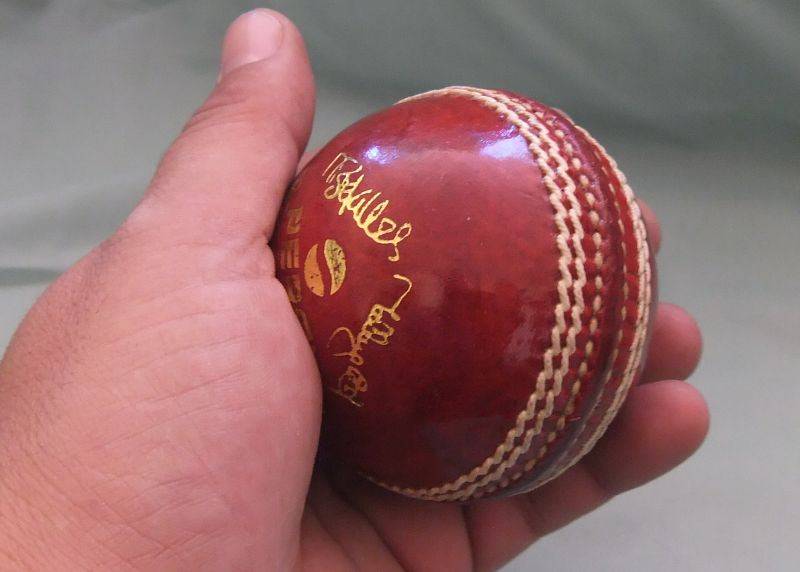 A COOL STANDARD SIZE CRICKET BALL WITH PEPSI ADVERTISING AND SIGNATURES - EXCELLENT CONDITION