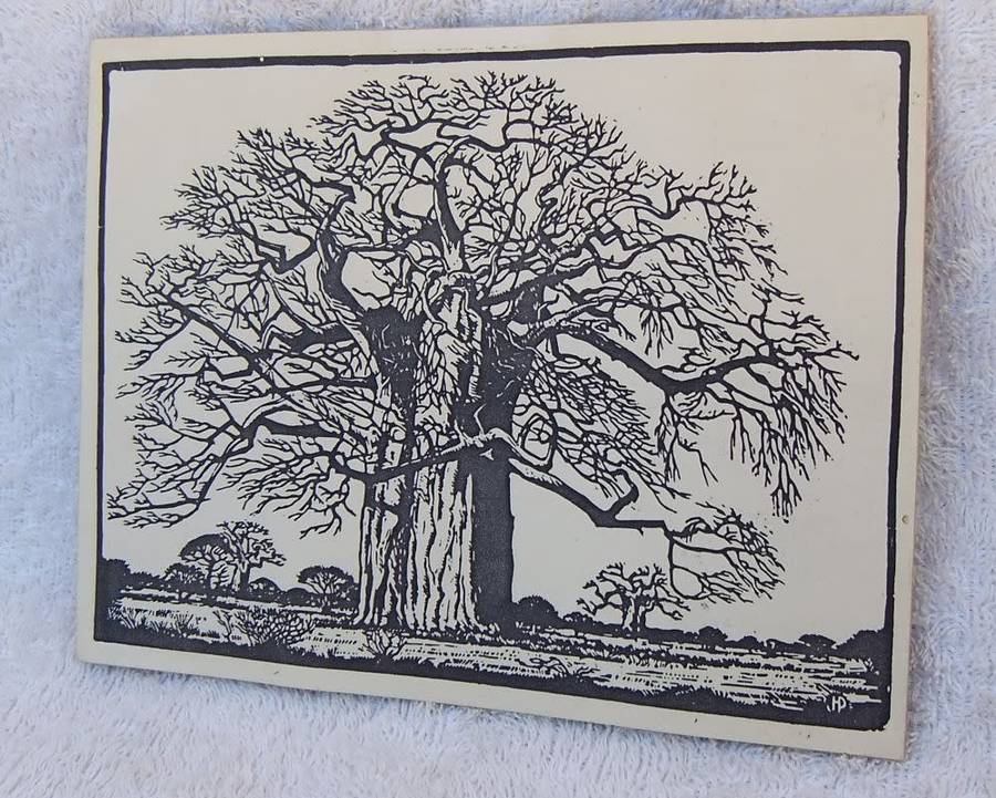 SUPER RARE !! A VINTAGE LINOCUT DEPICTING THE BAOBAB TREE BY FAMOUS SA ARTIST JH PIERNEEF !! WOW !!