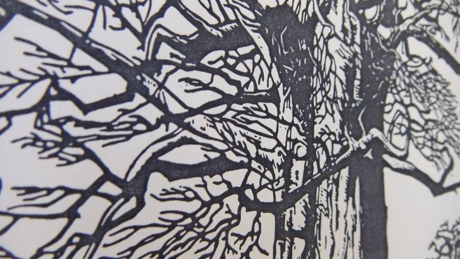 SUPER RARE !! A VINTAGE LINOCUT DEPICTING THE BAOBAB TREE BY FAMOUS SA ARTIST JH PIERNEEF !! WOW !!