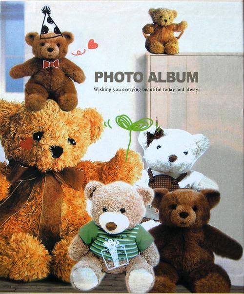 Photo Album