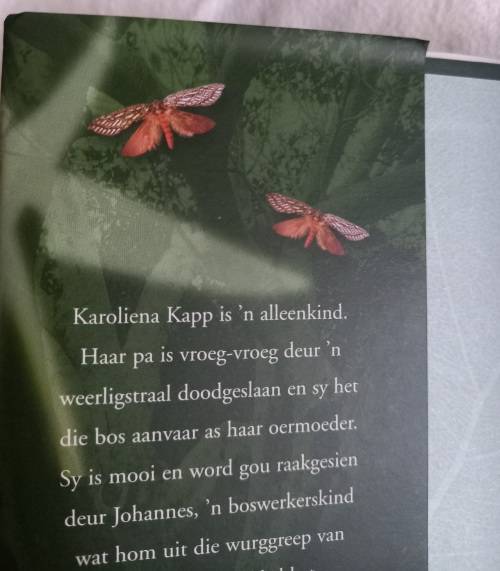 Toorbos Dalene Matthee 1ste Druk