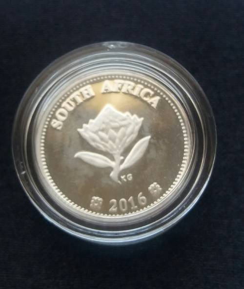 2016 SILVER  TICKEY THE DOLOS