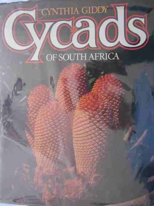 Cycads of South Africa- Cynthia Giddy