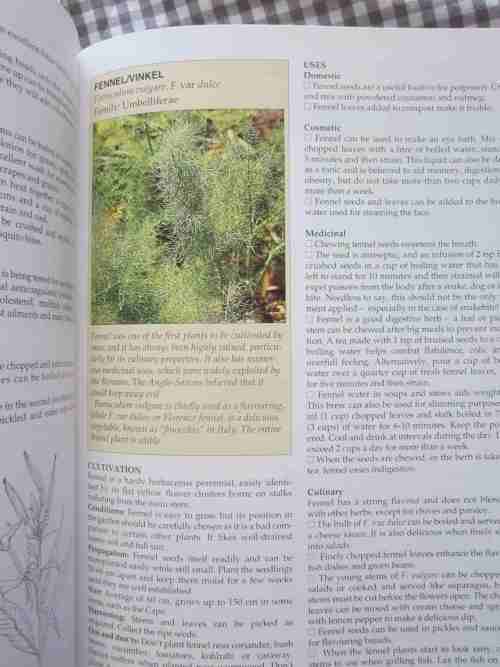 A-Z of Herbs- Margaret Roberts