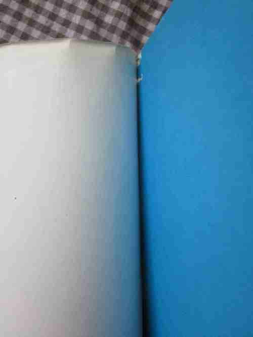 Die Ligbloues-Johan Volschenk-Gedokumenteerde verhaal van die spelers,wedstryde en beamptes