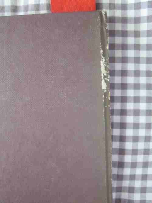 The Diary of G.F. Austin-My Experiences in Potchefstroom during the First Boer War 1880-1881