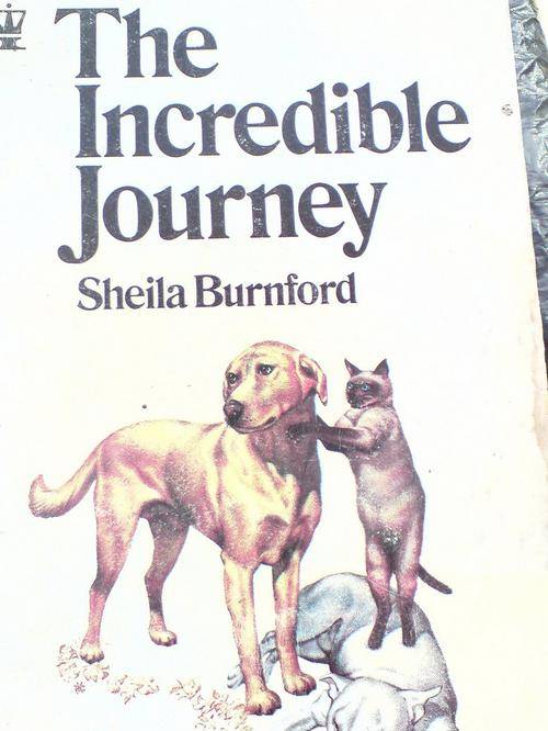The Incredible Journey - Sheila Burnford