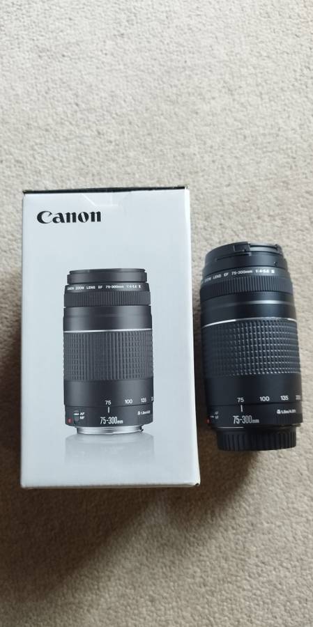 Canon M6 Mark II + 2 Canon Lens+ Canon Lens Adaptor