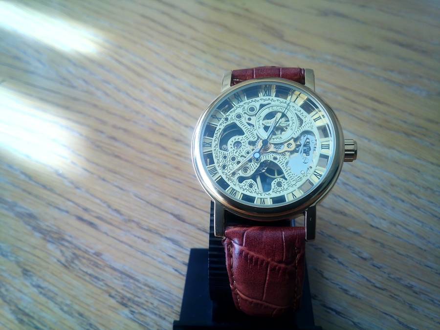 Mens Bussiness and Leasure Skeleton Watch
