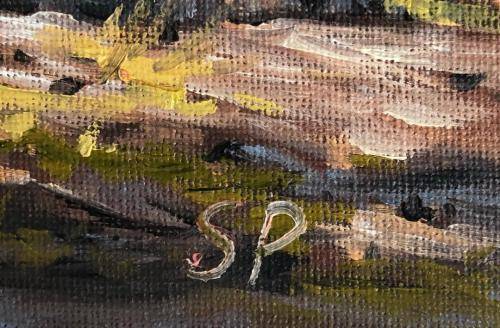 Stan Polson (SA 1971 -) original oil painting on canvas (30 x 22 cm).