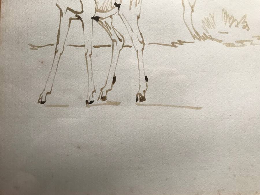 Zakkie Eloff - Ink on Paper