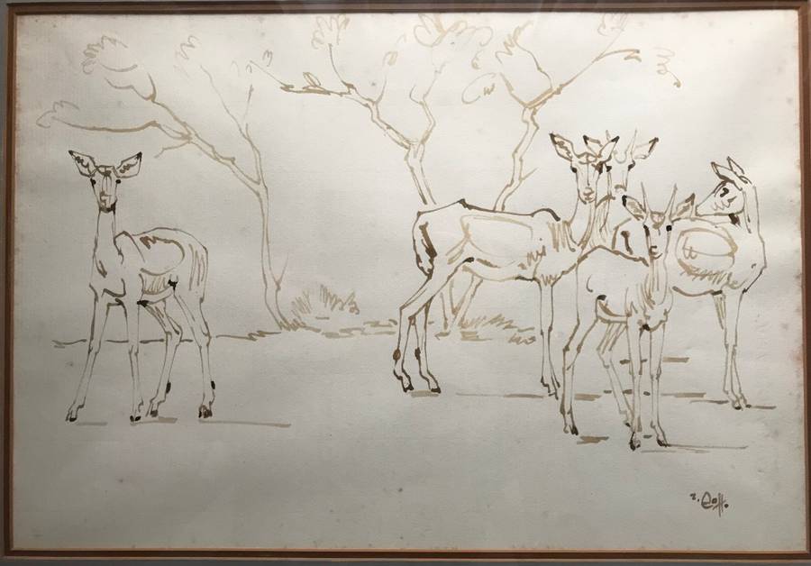 Zakkie Eloff - Ink on Paper