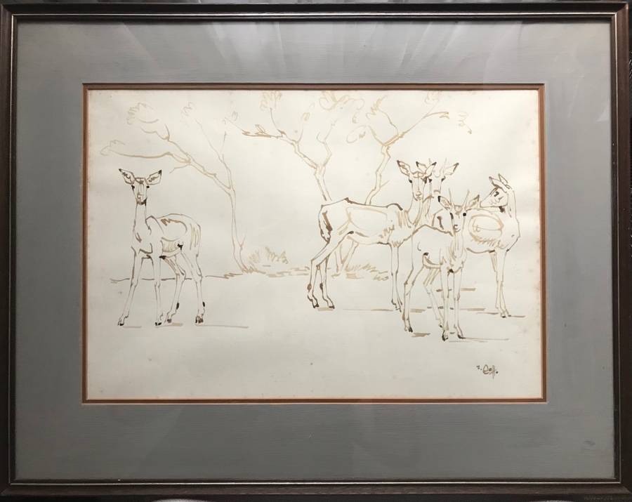 Zakkie Eloff - Ink on Paper