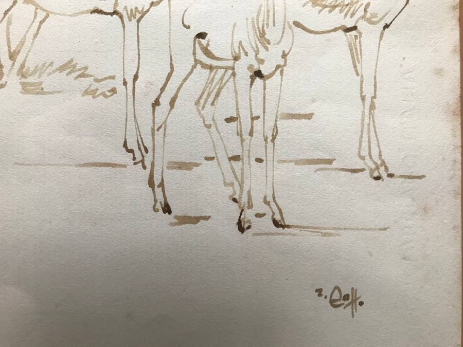 Zakkie Eloff - Ink on Paper