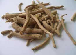 African Dream Root, Silene capensis (Ubulawu) 10 grams