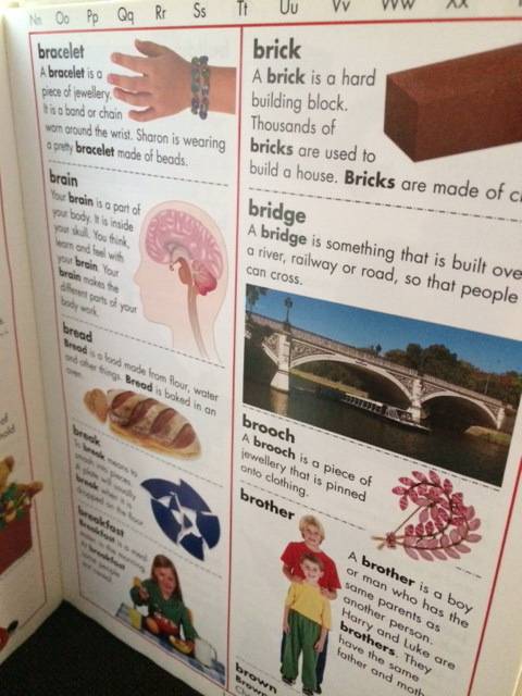 FIRST PICTURE DICTIONARY - ARCHIE OLIVER - EDUCATIONAL BOOKS - CHILDRENS BOOKS - BOOKS