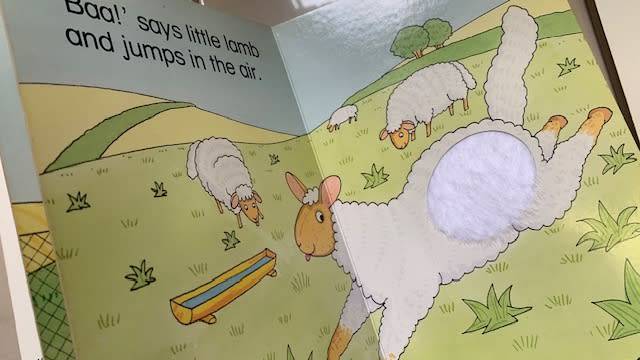 LOOK, TOUCH AND FEEL BOOKS - STROKE HENRY - FLUFFY CHICK - BUSTER - 3 BOOKS FOR ONLY R130.00