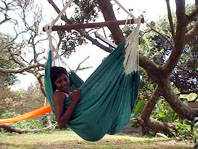 Sitting Hammocks