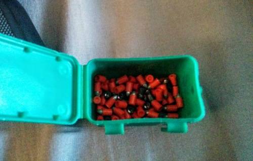 Gamo PT-80
