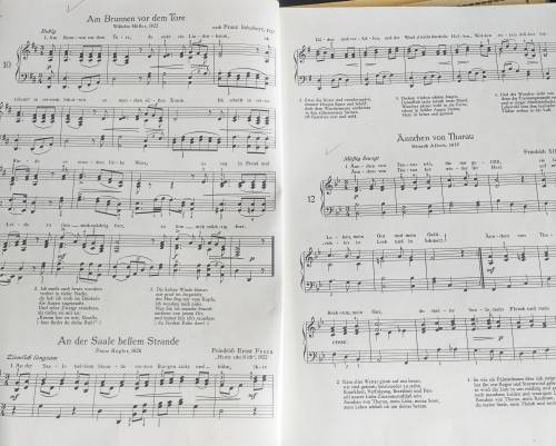 Mein Heimat Land - Singing and playing - medium difficulty