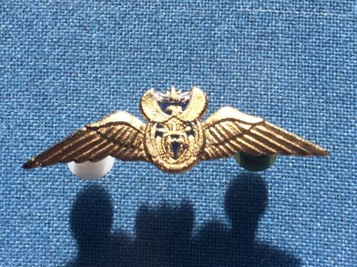 SAAF Gold mess dress brevet/wing 1000 flying hours flight time