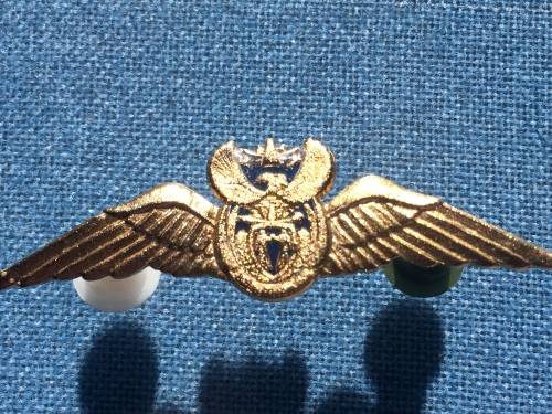SAAF Gold mess dress brevet/wing 1000 flying hours flight time