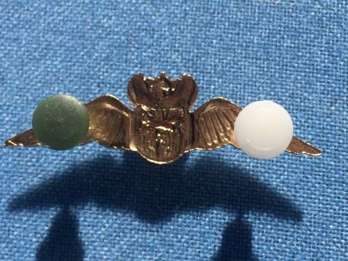 SAAF Gold mess dress brevet/wing 1000 flying hours flight time