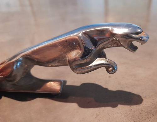 Jaguar bonnet emblem