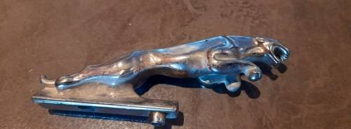 Jaguar bonnet emblem