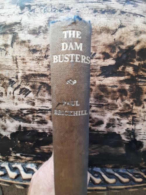 the dam busters by paul brickhill