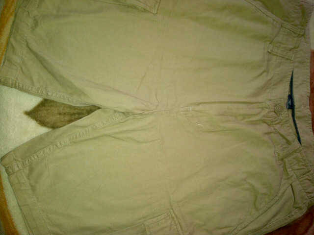 BRAND NEW**** SUMMER SHORTS 100%COTTON SIZE 32 VERY STRONG MATERIALS