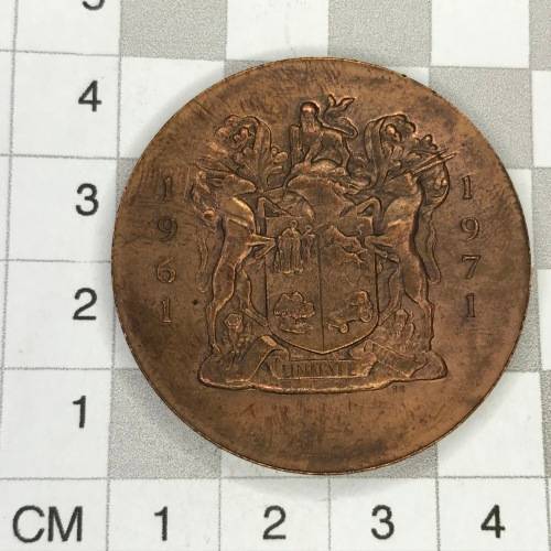 RSA 10 year republic growth medallion in copper