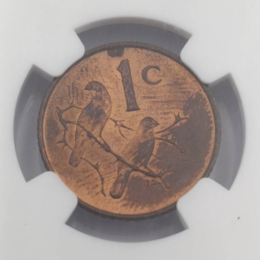 1965 RSA English 1 cent graded MS63 RB by NGC - only 1180 minted