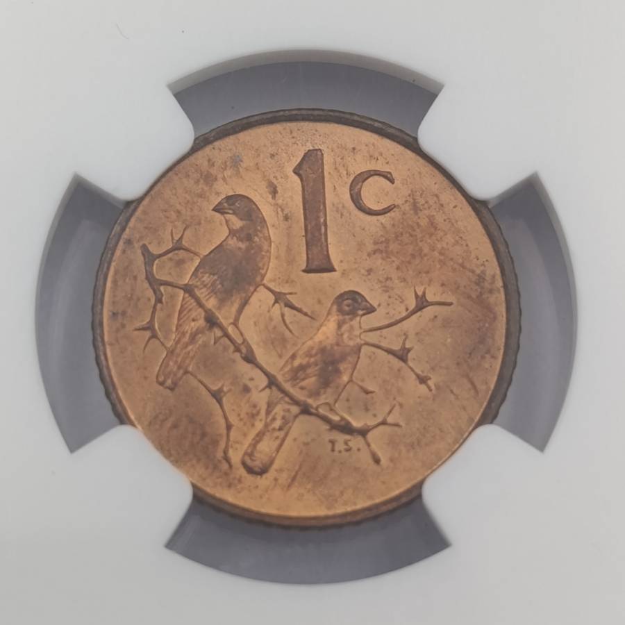 1965 RSA English 1 cent graded MS 64 RB by NGC - only 1180 minted
