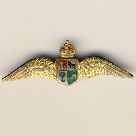 SAAF Silver wings - gilded