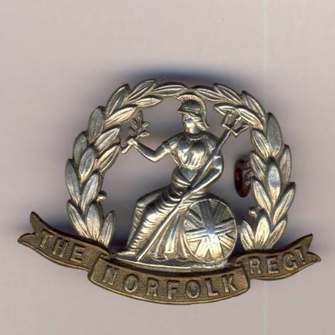 Great Britain The Norfolk regiment cap badge bi-metal with lugs @ CRAZY R1 Start