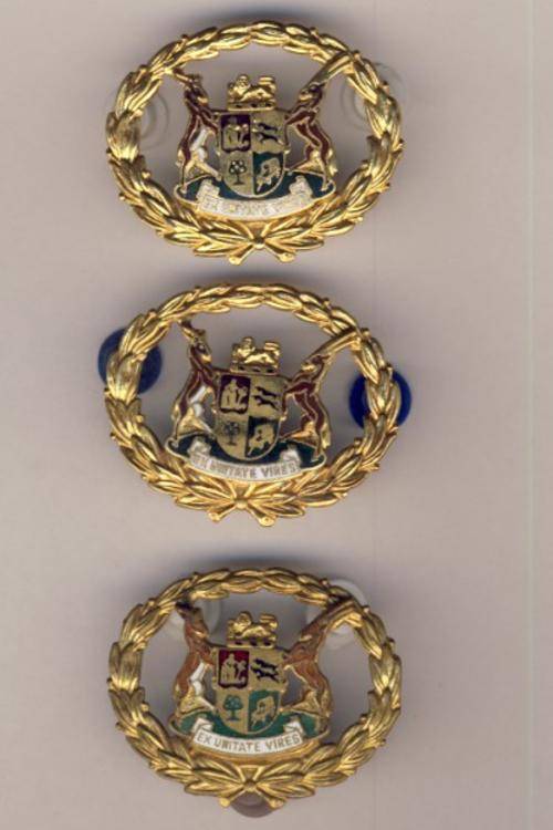 Lot of 3 Warrant officer badges as per scan