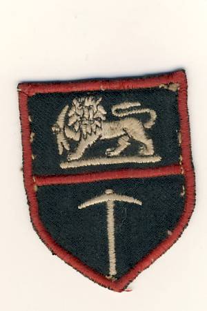 Rhodesian army arm patch