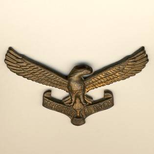 South African Air Force cap badge