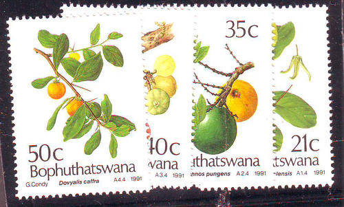 Bophuthatswana - 1991 - Edible Wild Fruit - set of 4 mint unhinged.