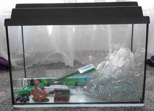 Fish tank plus accessories