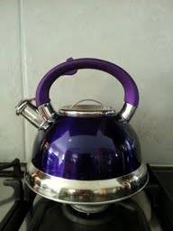 3,0 Litre Acrylic Funky Coloured Energy Saving Whistling Kettle - Purple