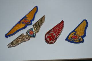 COLLECTION OF WINGS ---PARAMEDIC AVIATION  BADGES