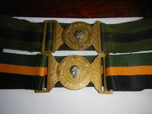 6 SAI BELTS