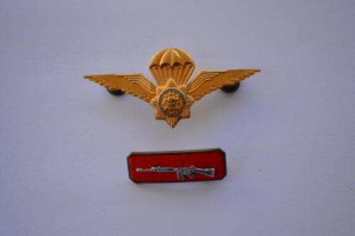 SA POLICE TASK FORCE PARA WING AND SILVER SHOOTING BALKIE