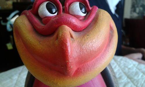 Very Collectible Funny Birds of Knysna