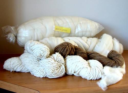 Marino Combing Wool, 20 microns, 6.65KG