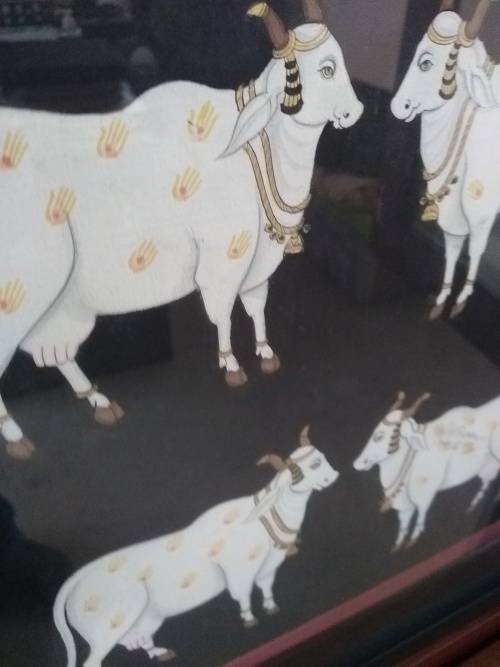 Indian Traditional Art . Pichvai Original